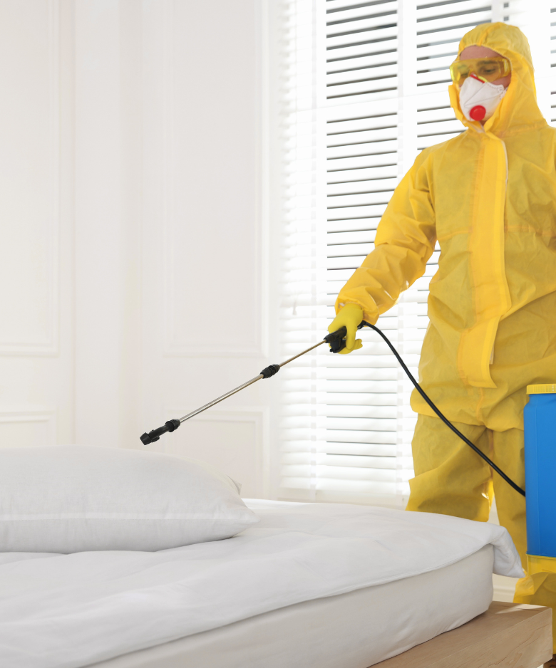 Professional Pest Control Team in Balhannah